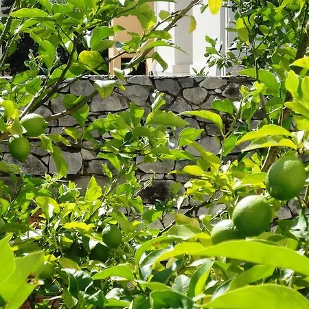 Luxurious Djuran Appartement *