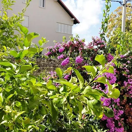 Appartement Luxurious Djuran *