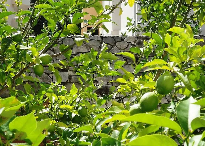 Luxurious Djuran Apartmán *